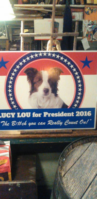 lucy
