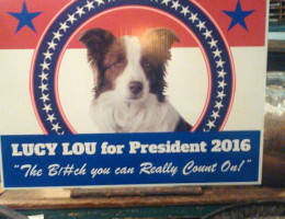 lucy
