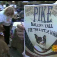 bill geist animals running for