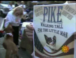 bill geist animals running for